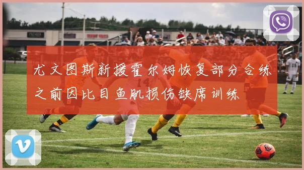 尤文图斯新援霍尔姆恢复部分合练之前因比目鱼肌损伤缺席训练