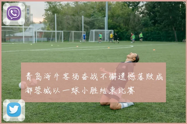 青岛海牛客场奋战不懈遗憾落败成都蓉城以一球小胜结束比赛